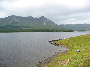 View north west across Lough Inagh towards the Twelve Bens - geograph.org.uk - 199770