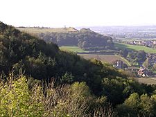 View west from the tower on St Michael's Hill, Montacute - geograph.org.uk - 71082.jpg