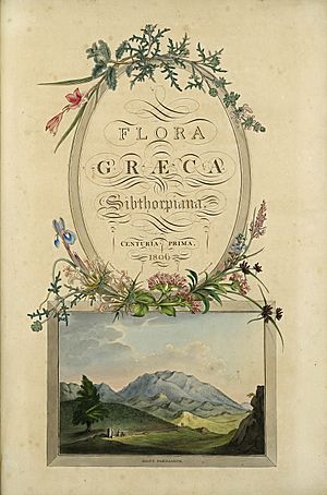 Volume 1 frontispiece, Flora Graeca by John Sibthorp (1806-1840)