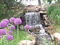 Waterfall and Flowers, OP Arboretum
