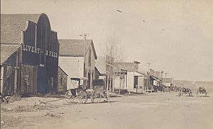 Webster street scene (est. early 1900s)
