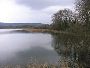 Weston Turville Reservoir - geograph.org.uk - 383456