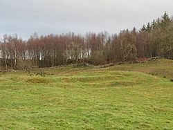 The site of Milecastle 29