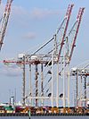130 container port cranes.JPG
