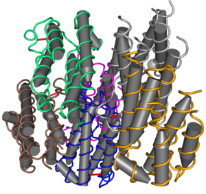 1RH2 Recombinant Human Interferon-Alpha 2b-01