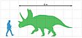 Agujaceratops mariscalensis size chart