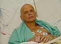 AlexanderLitvinenkoHospital