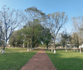 The central park of Alto Verá