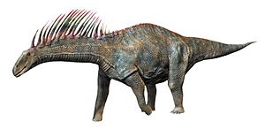 Amargasaurus NT small