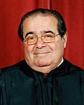 Antonin Scalia, SCOTUS photo portrait