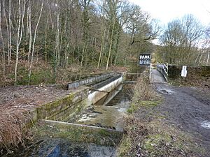 Aqueduct under repair - geograph.org.uk - 1735684