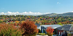 Autumn in Canberra