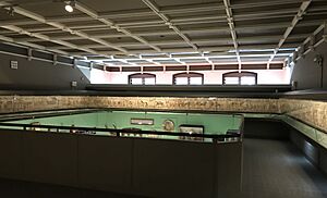 Bayeux Tapestry Gallery Reading Museum