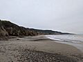 Beach at Año Nuevo on an overcast day