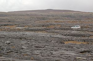 Burren 0513