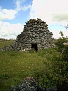 Cabaña de pastor - Valdecañas de Cerrato junio 2008 041