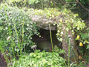 Cae'rarfau Mid-Glamorgan - geograph.org.uk - 953731