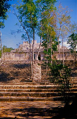 Calakmul Structure 13