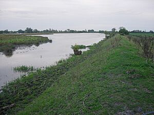 Cam Washes - geograph.org.uk - 927791