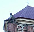 Cat-on-the-Roof