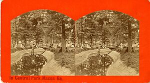 Central City Park, circa 1877 - DPLA - 98e6a4d7a40d9c7f6b21a448aed97c08