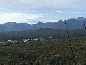 Charleston New Zealand