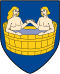 Coat of arms of Bagnes