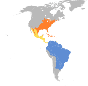 Coccyzus americanus map.svg