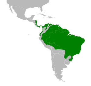 Dacnis cayana map.svg