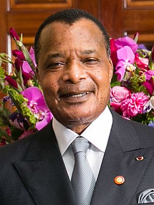 Denis Sassou Nguesso 2014.jpg