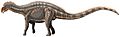 Dicraeosaurus hansemanni22