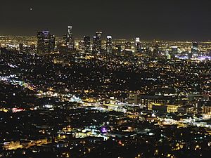 Downtown Los Angeles-02