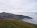Falkland Hill Mist 029