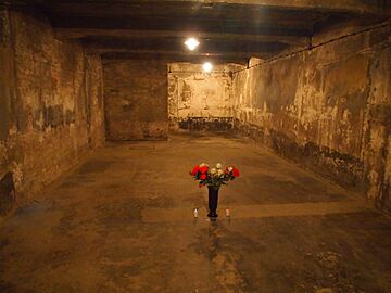 Gas chamber at Auschwitz I (Oświęcim, Poland 2014) (14136015058)