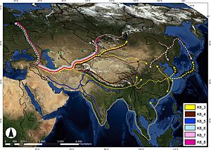 Genetic analysis on the spread of barley from 9000 to 2000 BCE