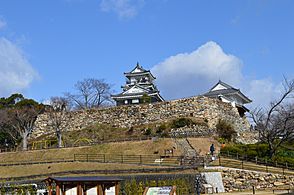 Hamamatsu Castle, enkei-2