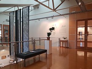 Hocken Collections 03