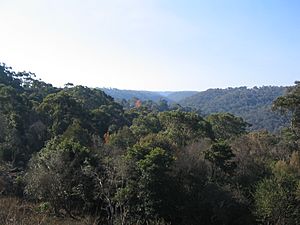 Hornsby Heights view from Rofe Park