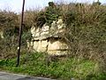 Houghton Green Cliff (4)