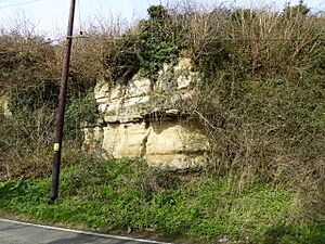 Houghton Green Cliff (4)