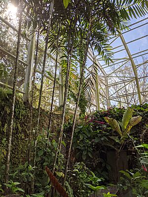 Inside Butterfly Garden