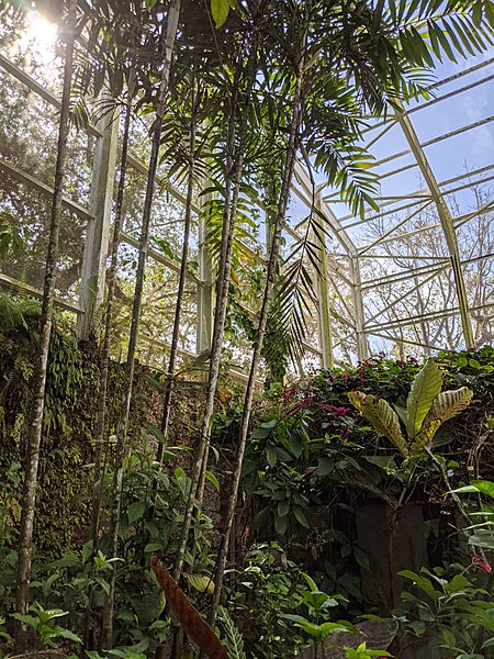 Inside Butterfly Garden