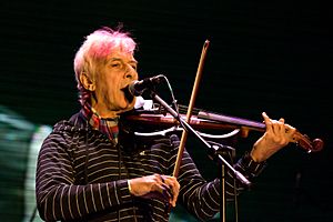 John Cale 2010 Urban SimpleLife Festical