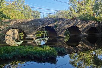 Kingston Bridge, Kingston, NJ - south view
