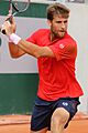 Klizan RG19 (31) (48199185062)