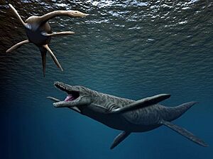 Kronosaurus2 NT