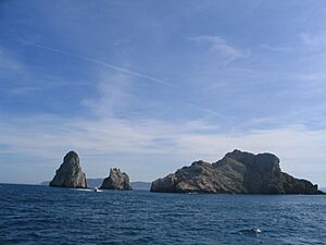 L'Estartit - 2006 - 12