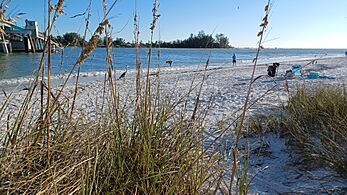 Late afternoon on Coquina Beach