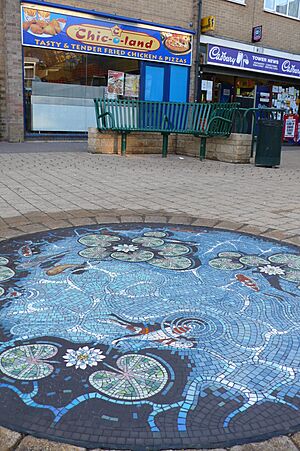 Lilypond mosaic in Carterton Town Square