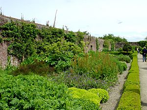 Llanerch garden
